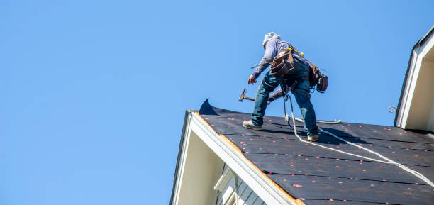 Best Roof Maintenance Services  in Meridian Hills, IN
